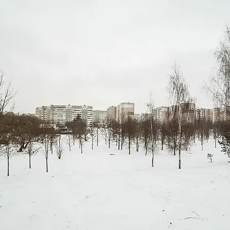 Apartment On Malinovka *